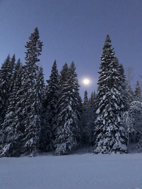 Forest carbon as an additional income to forest owners