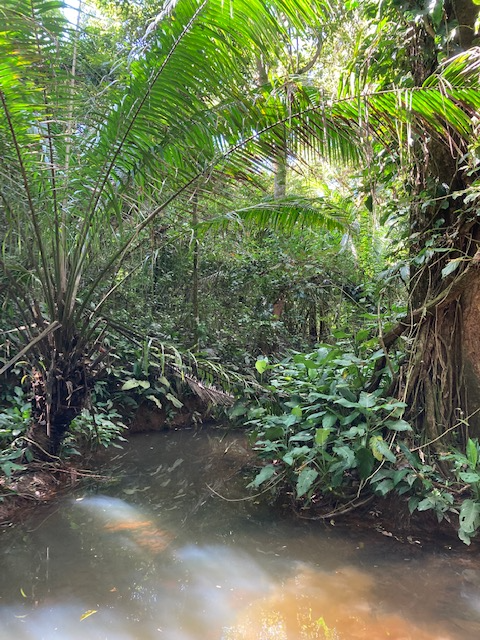 Further examples of private finance for biodiversity