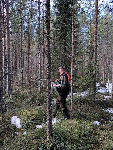 Some basics about forest carbon projects